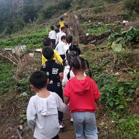 挑战“大自然”——清江中心幼儿园大班秋游爬山活动