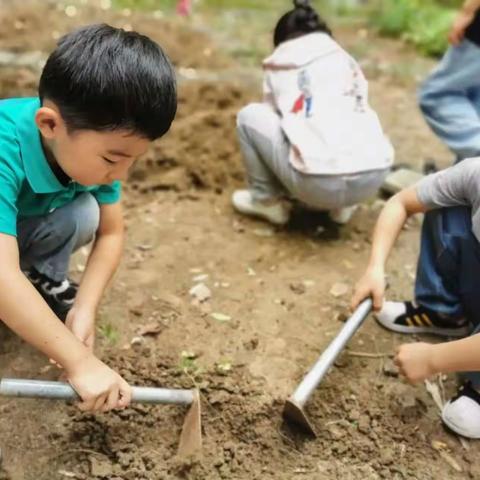 中都西苑幼儿园大一班九月份精彩内容