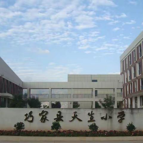 绿美校园—天生小学