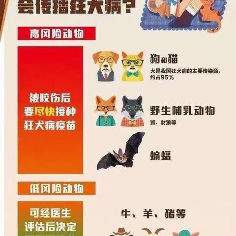 狂犬病科普知识