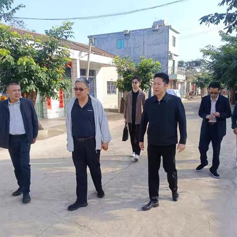 任延新在峨蔓镇调研时强调：学习“千万工程”经验 统筹“和美富”建设奋力打造儋州和美乡村新样板