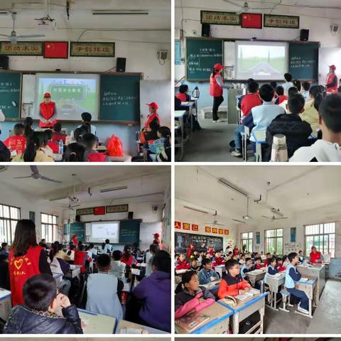 安全教育进校园