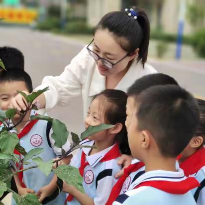 师者匠心，止于至善——昌乐县古城小学二年级级部教师风采展示