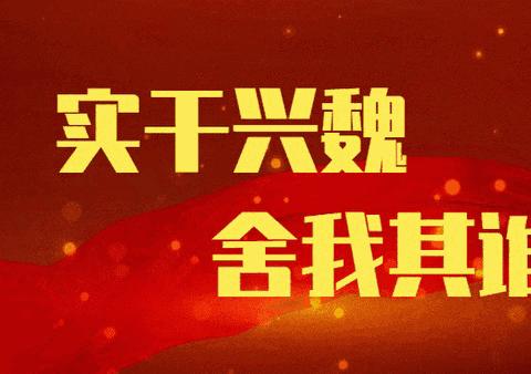 拼搏奋斗，励志笃行——双井镇传达学习县委常委会（扩大）会议精神暨召开节前重点工作部署会