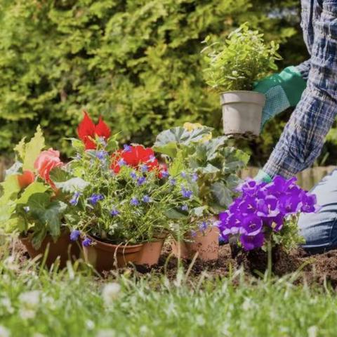 北郭乡徐北郭小学—花卉种植社区活动