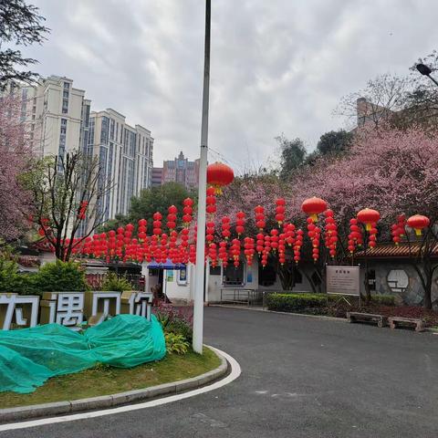 新年有礼，动物园里一起过大年