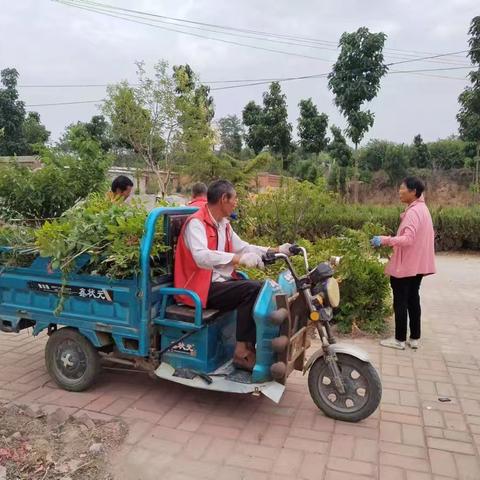 平阴县东阿镇人居环境整治共建美丽乡村