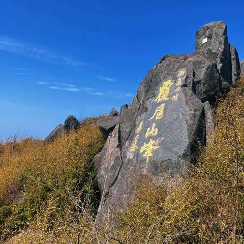 上虞覆卮山徒步看花