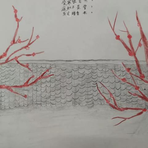 五（2）班阅读成果展示