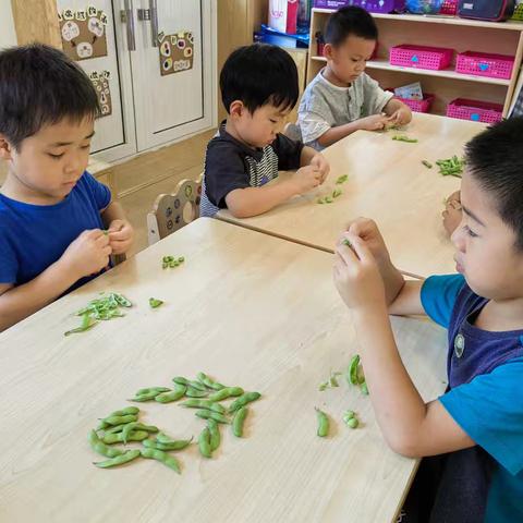 美好＂食＂光，乐享自助——幼儿园自助餐活动