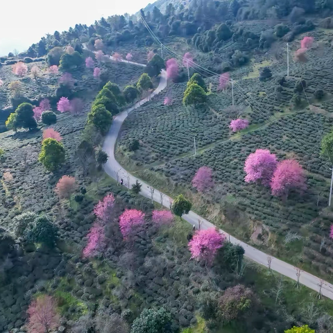 滇南避寒漫游——偶遇李芳村（2）