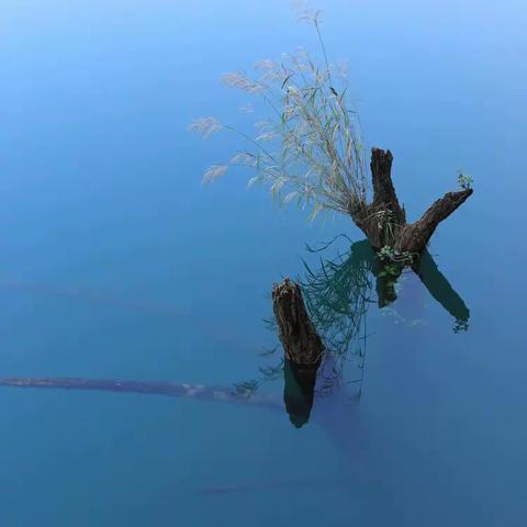 滇南避寒漫游——龙泉寻水（4）