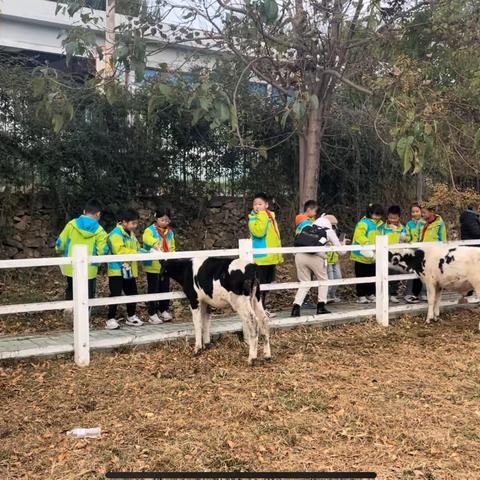 走进金兰牧场，一起“趣”秋游