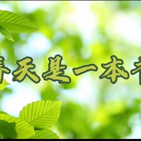 春风拂面，暖意洋洋——大三班一周精彩回顾