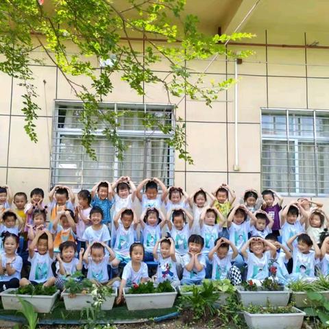 感恩成长，快乐相伴——易阳幼儿园2025年春季学期末成果展