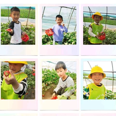 上蔡县重阳七彩虹幼儿园招生火热进行中