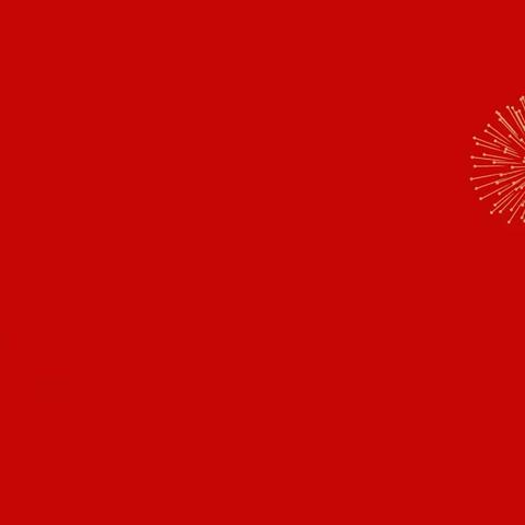 一岁节序为首，万象更新正当时——东西湖区春风十里尚真幼儿园新春跳蚤市场活动
