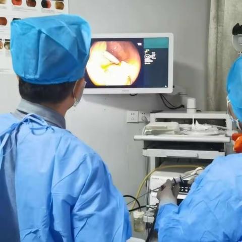 专家指引，领航新征程