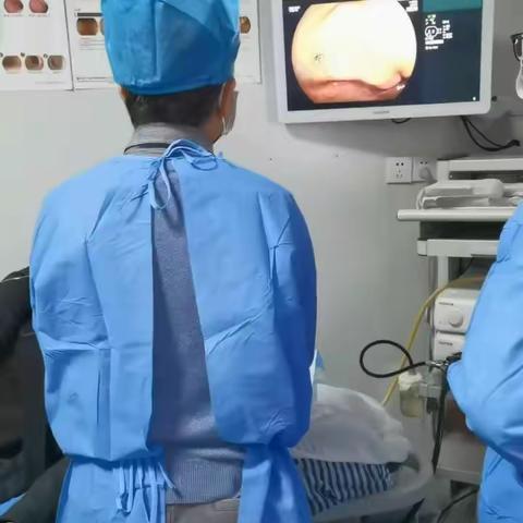 专家指引，领航新征程