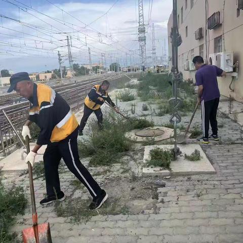 盛夏的果实-记职场环境卫生整治的收获