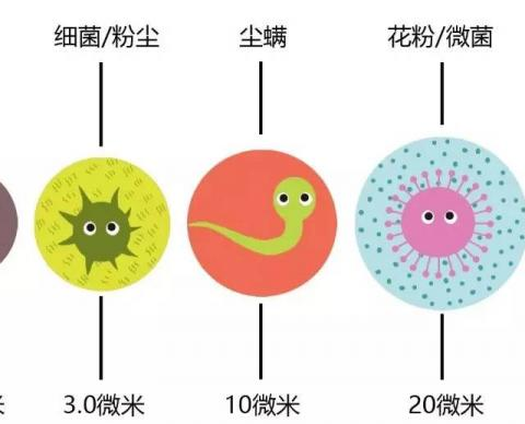 “药课堂”第一百七十六讲:临床用药——常用雾化吸入药物