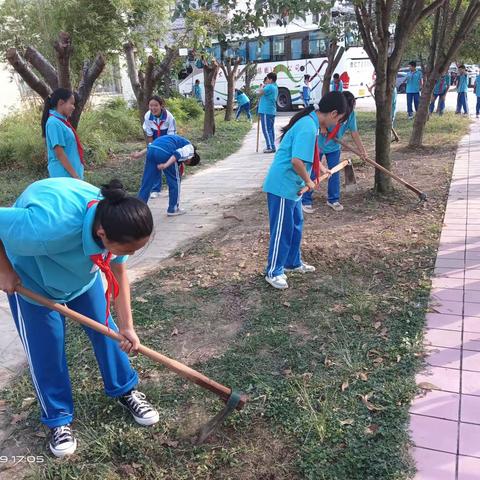 "劳动砺心志，实践促成长——遵义市第三十三中学农垦劳动实践活动