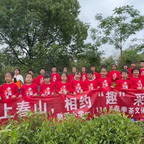 一起上春山，相约“趣”采茶