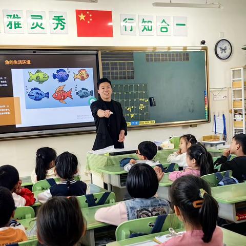 “鱼”你相遇，共探奥秘