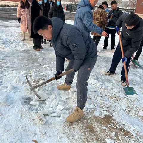 我们在行动——沧县未来高级中学全体师生扫雪除冰纪实