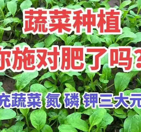 氮、磷、钾﻿在农业上的影响