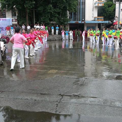 田阳区老年人体育协会揭牌成立