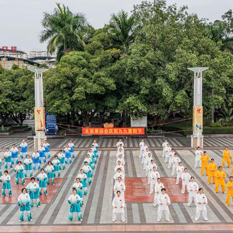 太极重阳展（上）