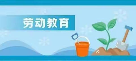 教育科学学院劳动教育宣传展示汇报