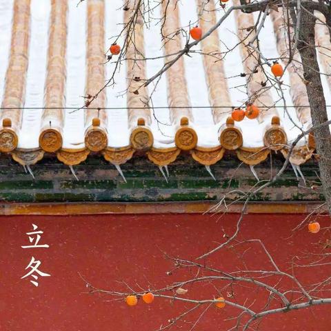 涪陵第十五中三十二届运动会五班