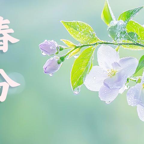 春分有信，不负春光 ——北杨庄小学幼儿园春分主题活动