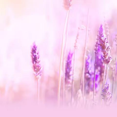 【长延发布】长延堡街道西外大社区开展“敲门行 暖民心”高龄老人入户探访工作