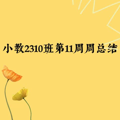 小教2310班周总结