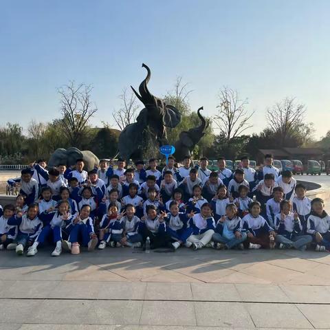 心若繁花，自有芳华  —— 郯城县博雅学校603班班级总结