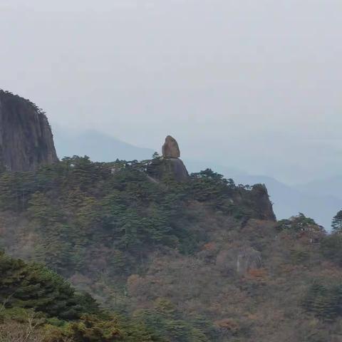 黄山上的轿夫