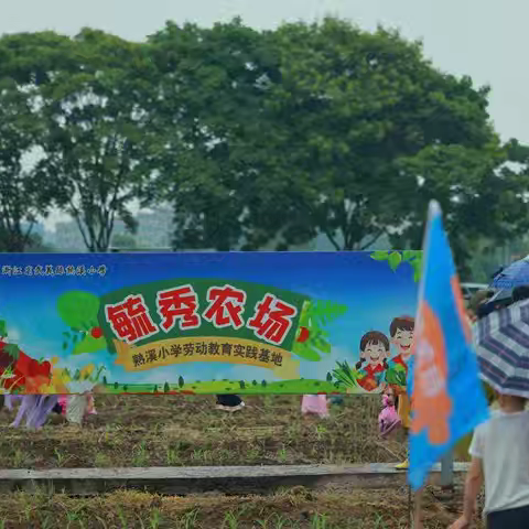 毓秀农场玉米种植记