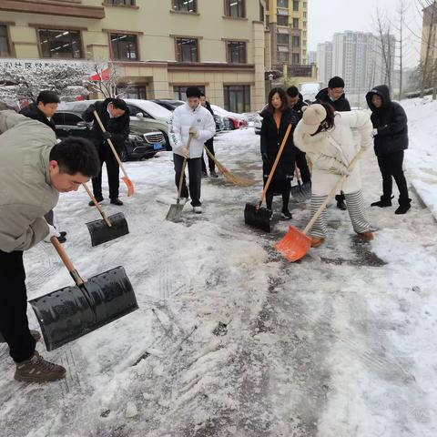 市中区兴隆街道兴润社区综合党委开展“破冰除雪 情暖居民"主题党日活动