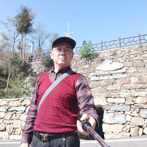 2025.4.10金刚山杜鹃一