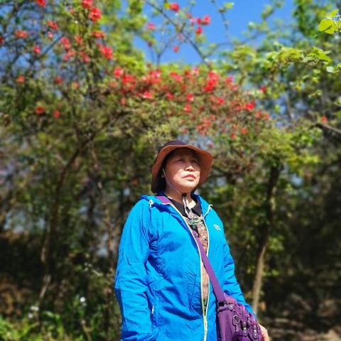 2025.4.10金刚山杜鹃之二