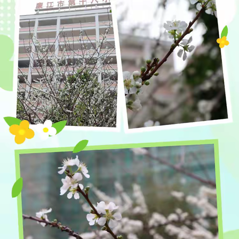 表彰催奋进，奋楫赴新程——廉江市第十八小学2024秋季学期期末综合评价表彰大会