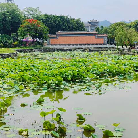 广州沙湾古镇