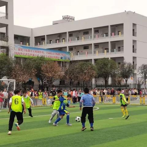 成长没有句点，青春一路向阳——2024届定向铜梁区立心小学实习工作第七周纪实