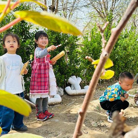 我们的种植日记——观察实录