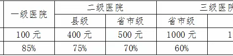 2024年度城乡居民基本医疗保险待遇政策解读