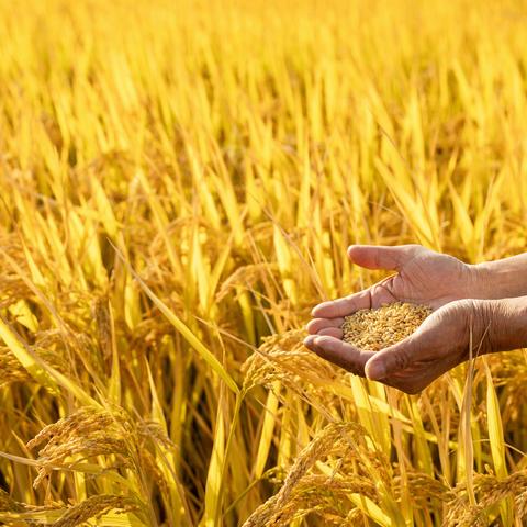 山钢地产前台周报（2023.11.6-2023.11.12）