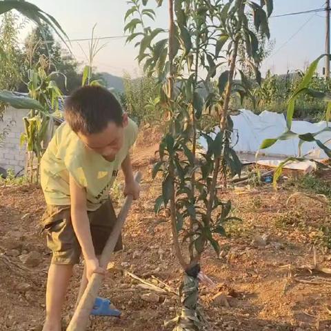 守候一生的简篇